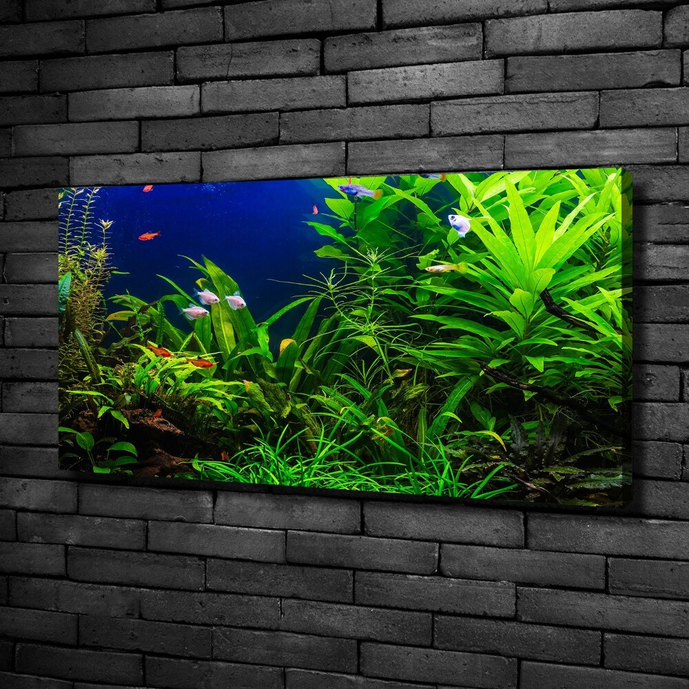 Canvas wall art Fish in the aquarium