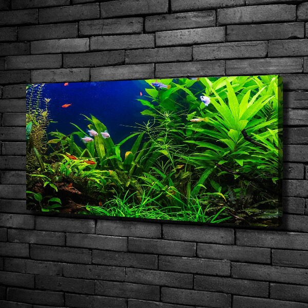 Canvas wall art Fish in the aquarium