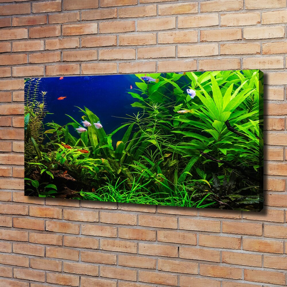 Canvas wall art Fish in the aquarium