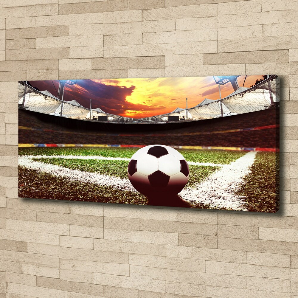 Canvas wall art Ball at the stadium