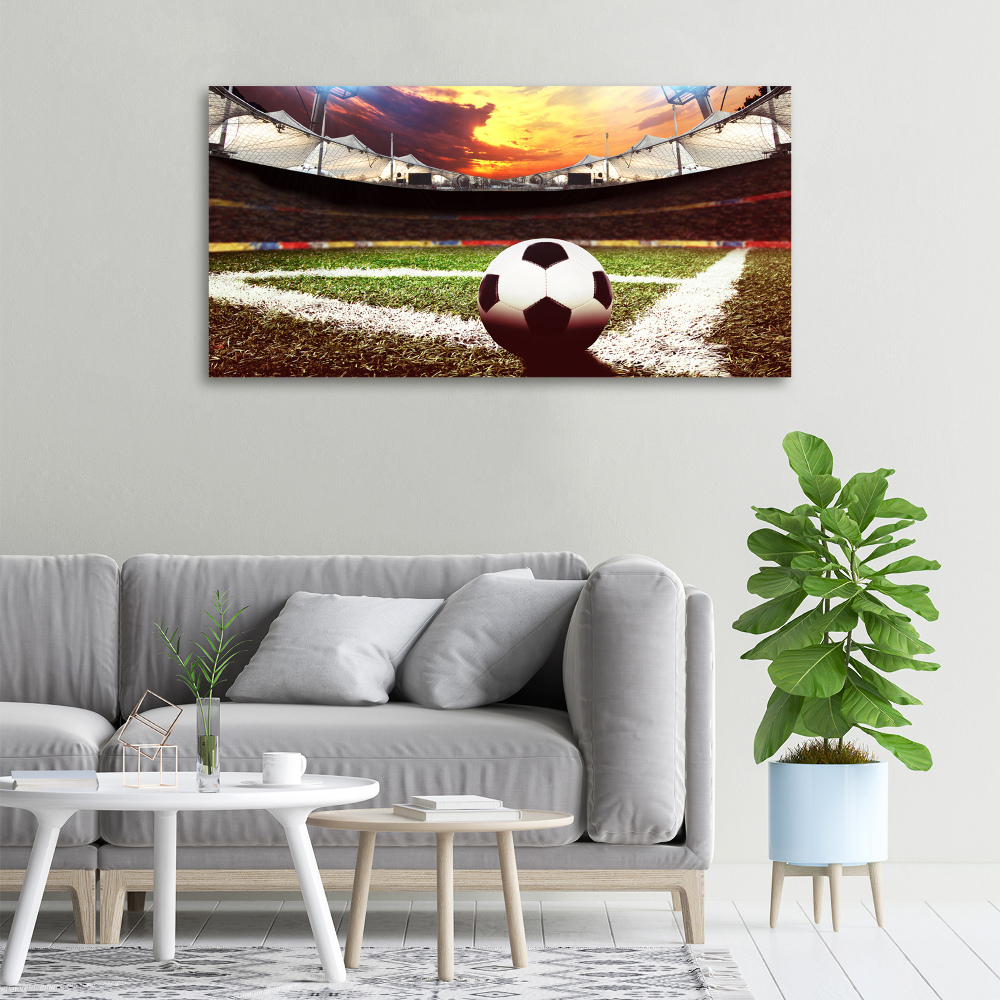 Canvas wall art Ball at the stadium