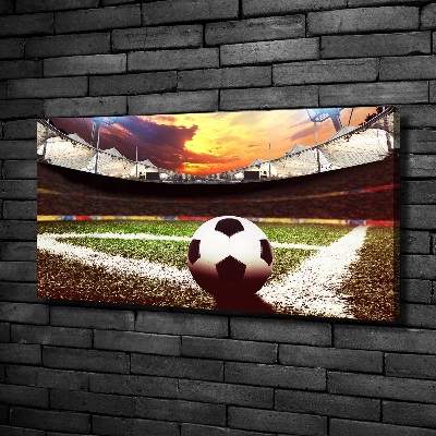 Canvas wall art Ball at the stadium