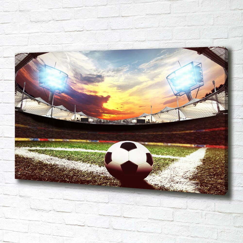 Canvas wall art Ball at the stadium