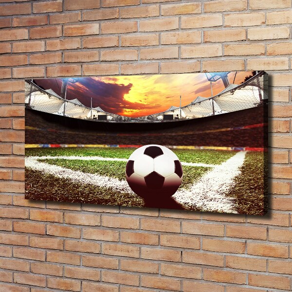 Canvas wall art Ball at the stadium