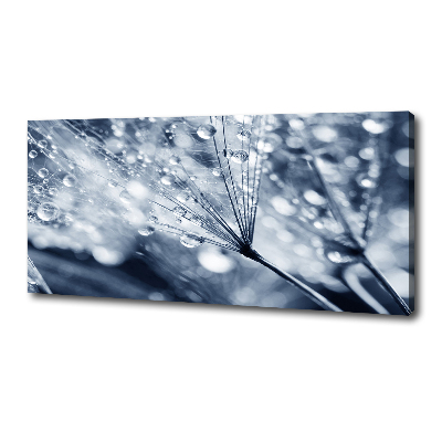 Canvas wall art Dandelion seeds