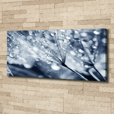 Canvas wall art Dandelion seeds