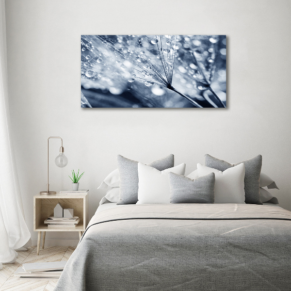 Canvas wall art Dandelion seeds