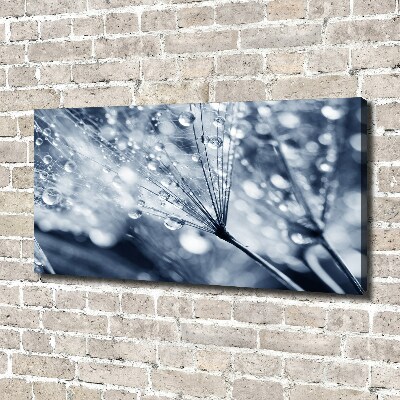 Canvas wall art Dandelion seeds