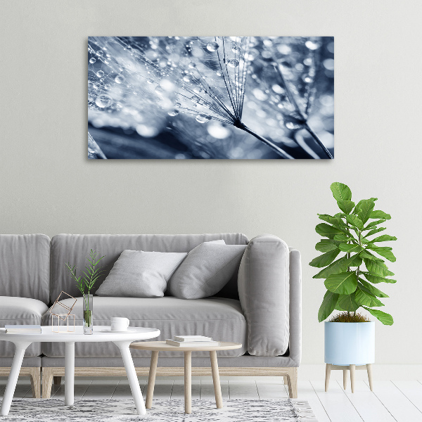 Canvas wall art Dandelion seeds