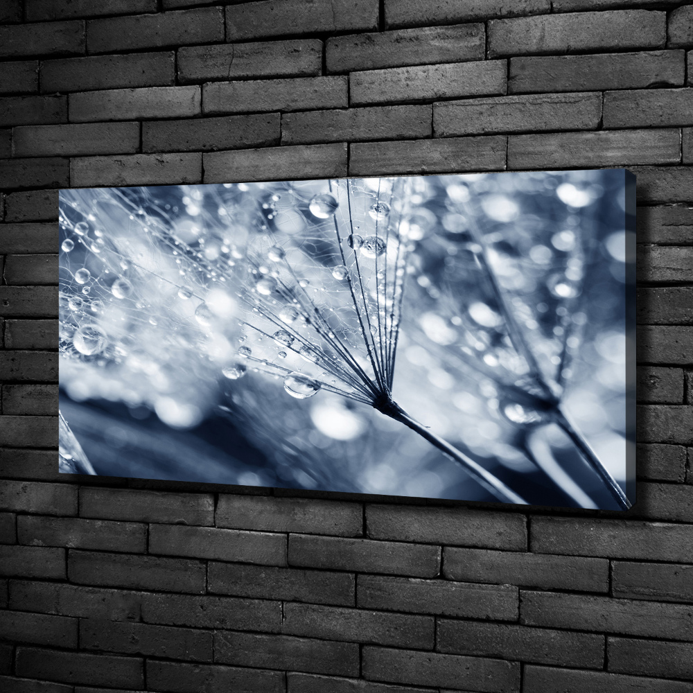 Canvas wall art Dandelion seeds