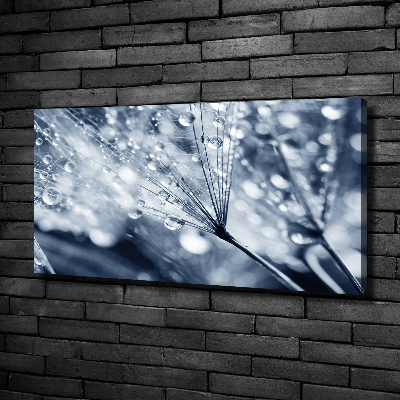 Canvas wall art Dandelion seeds