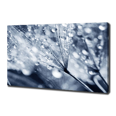 Canvas wall art Dandelion seeds