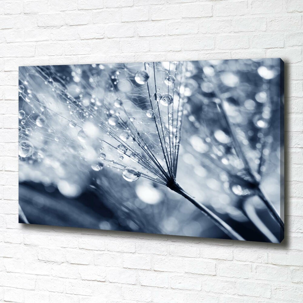 Canvas wall art Dandelion seeds