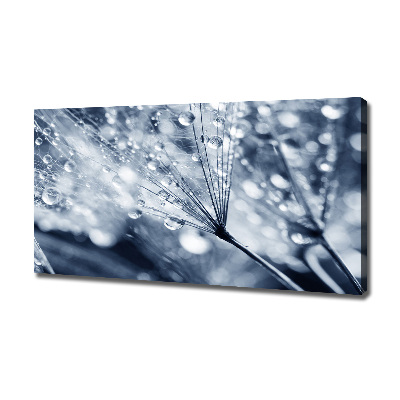 Canvas wall art Dandelion seeds