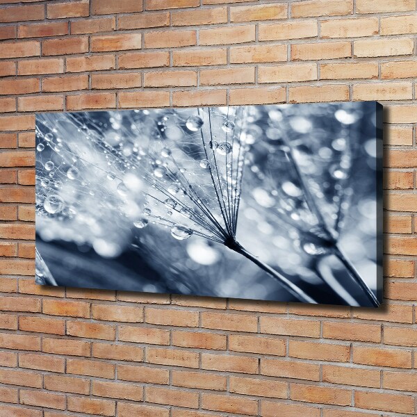 Canvas wall art Dandelion seeds