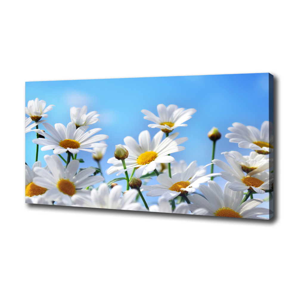 Canvas wall art Daisy