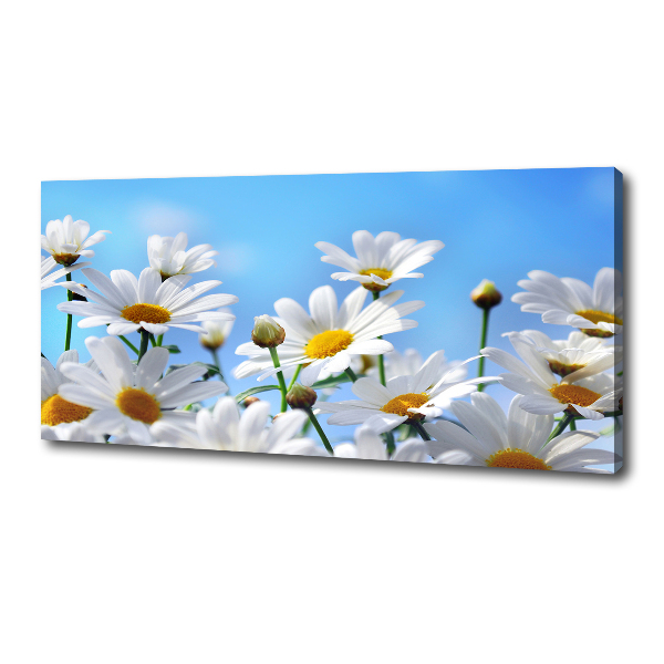 Canvas wall art Daisy