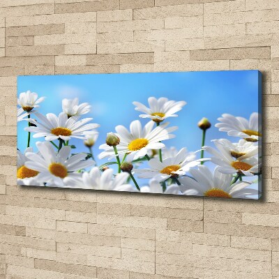 Canvas wall art Daisy