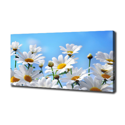 Canvas wall art Daisy