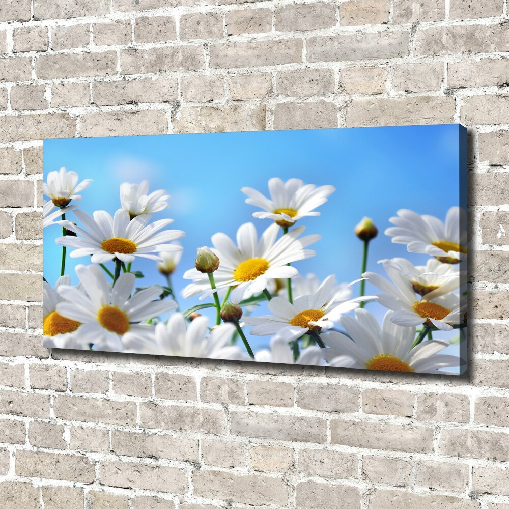 Canvas wall art Daisy