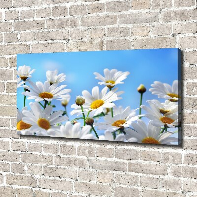 Canvas wall art Daisy