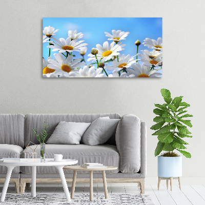 Canvas wall art Daisy