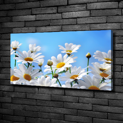 Canvas wall art Daisy