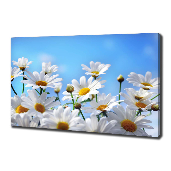 Canvas wall art Daisy