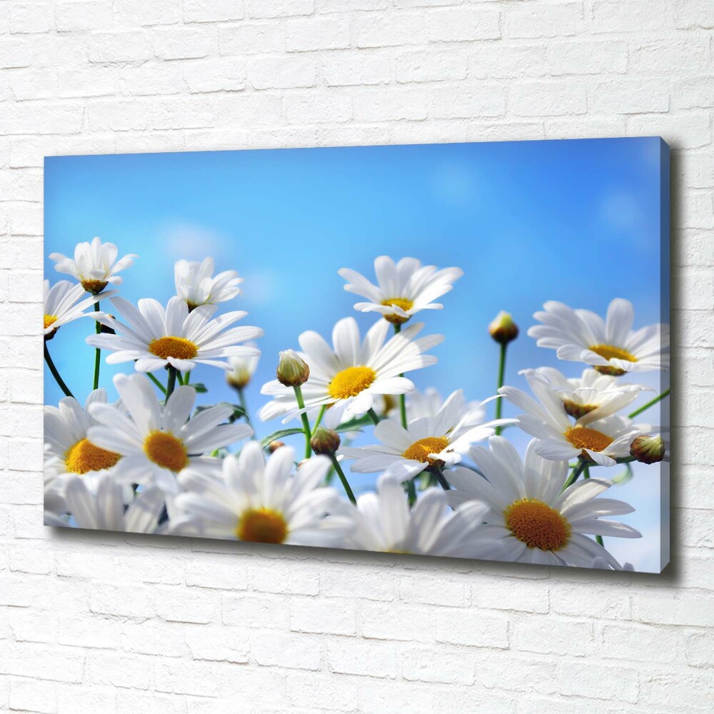 Canvas wall art Daisy