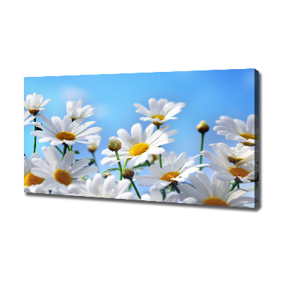 Canvas wall art Daisy