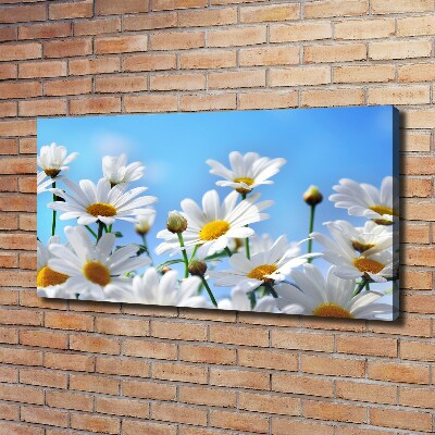 Canvas wall art Daisy