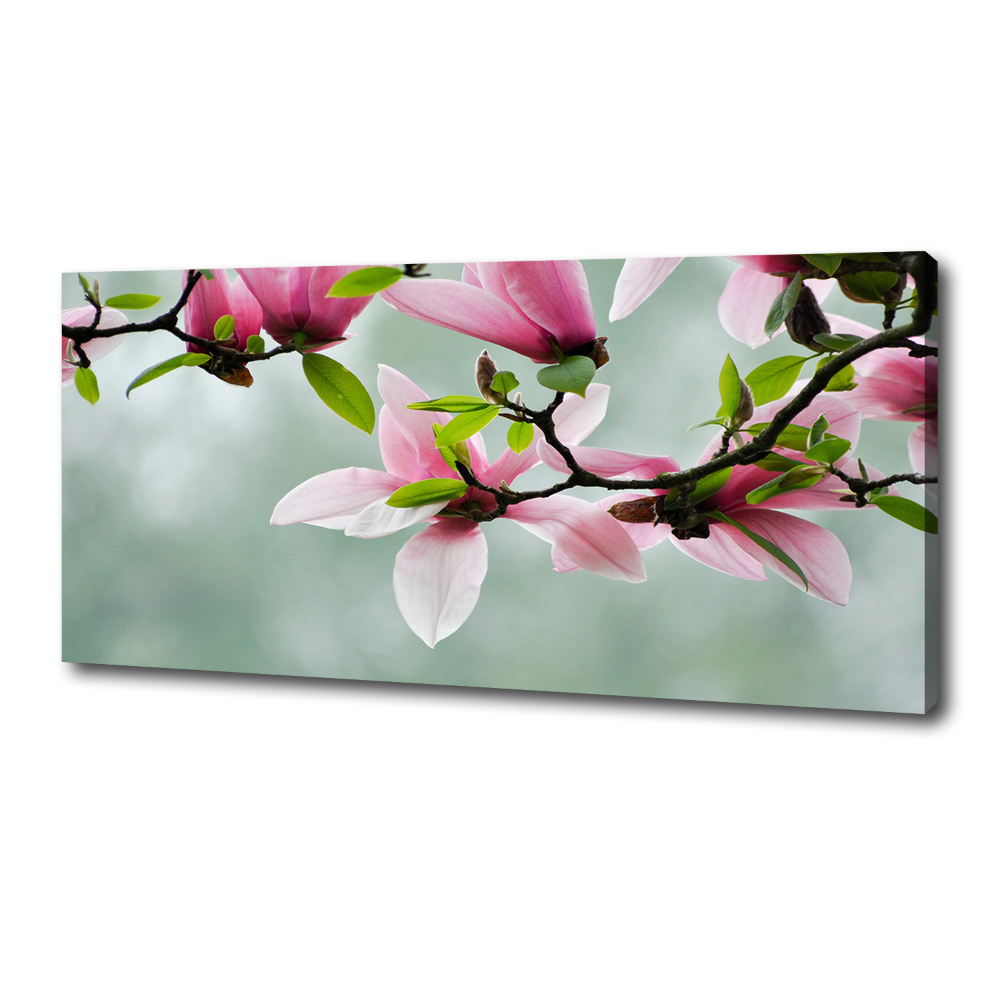 Canvas wall art Magnolia