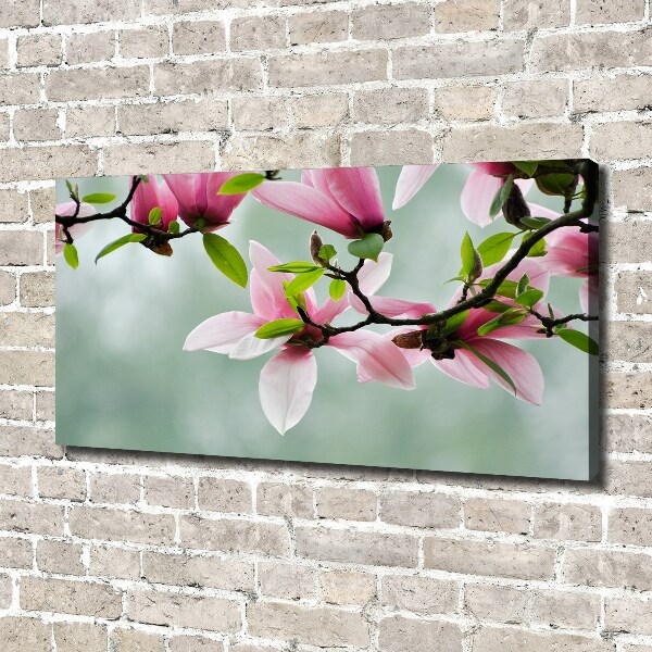 Canvas wall art Magnolia