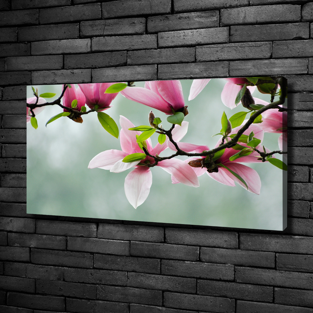 Canvas wall art Magnolia