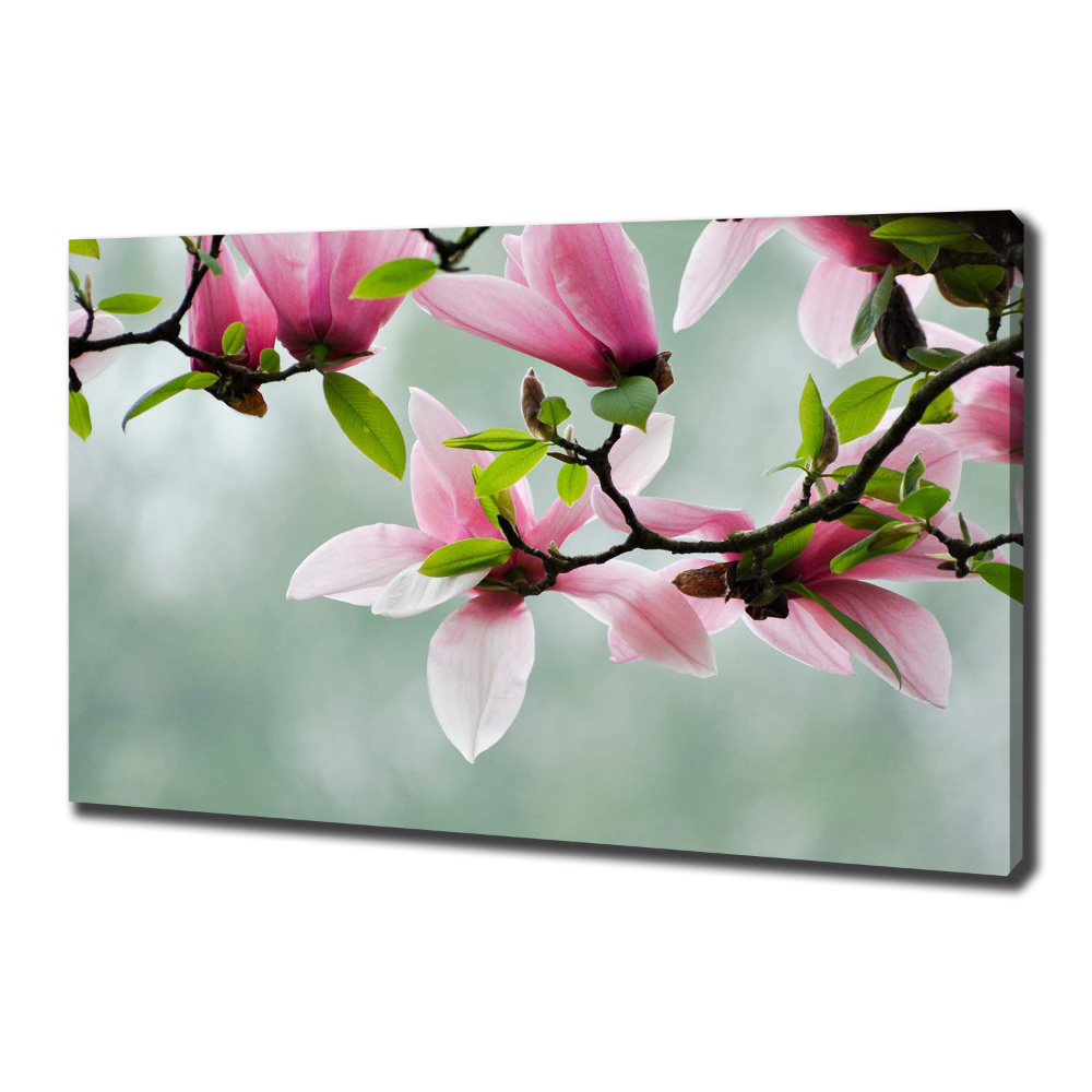 Canvas wall art Magnolia