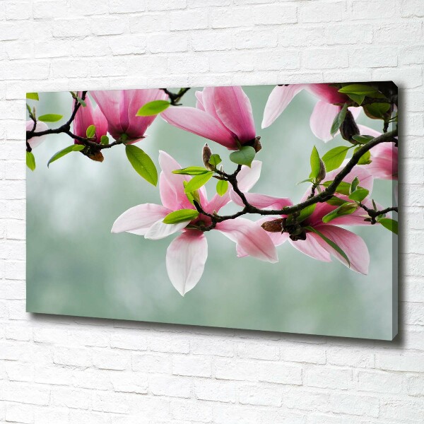 Canvas wall art Magnolia