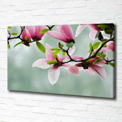 Canvas wall art Magnolia