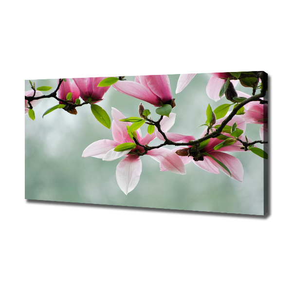 Canvas wall art Magnolia