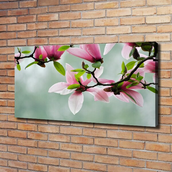 Canvas wall art Magnolia