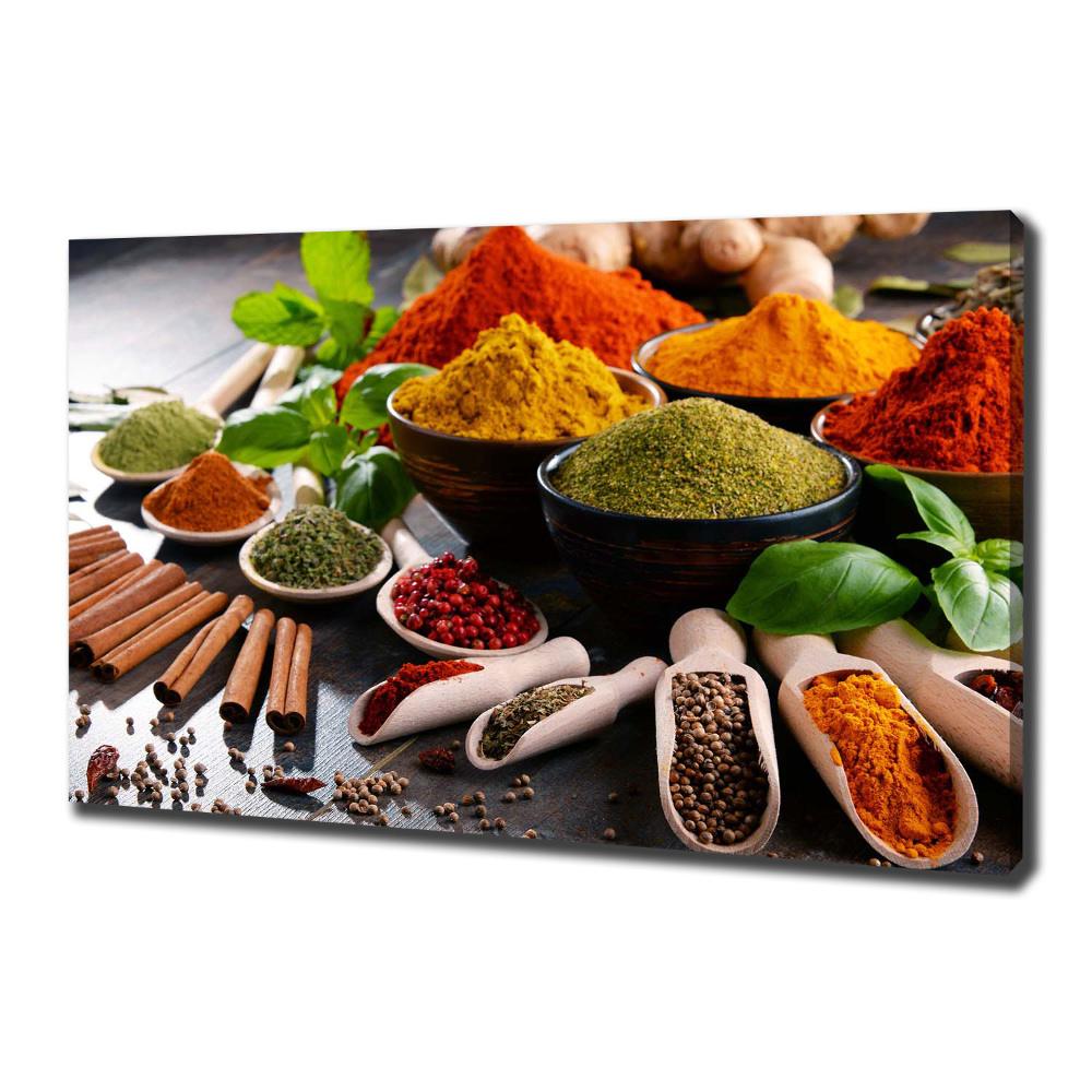 Canvas wall art Colorful spices