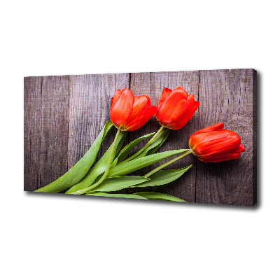 Canvas wall art Red tulips