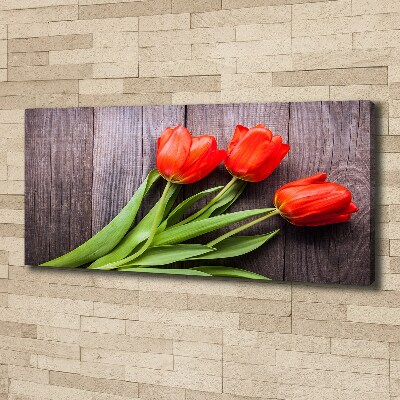 Canvas wall art Red tulips