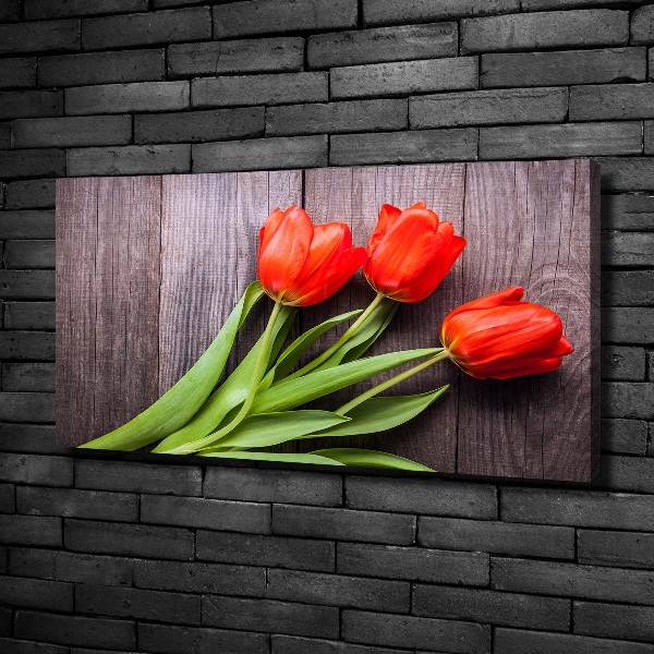 Canvas wall art Red tulips