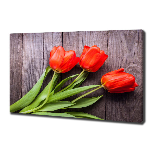 Canvas wall art Red tulips