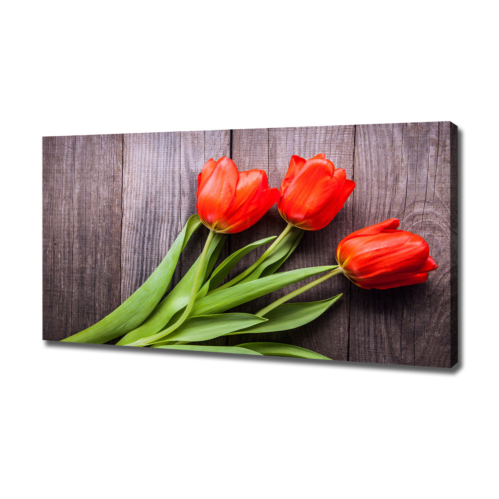 Canvas wall art Red tulips