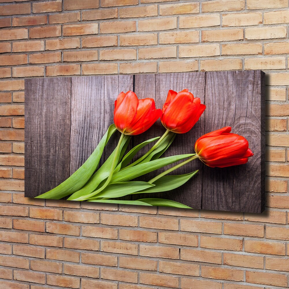 Canvas wall art Red tulips