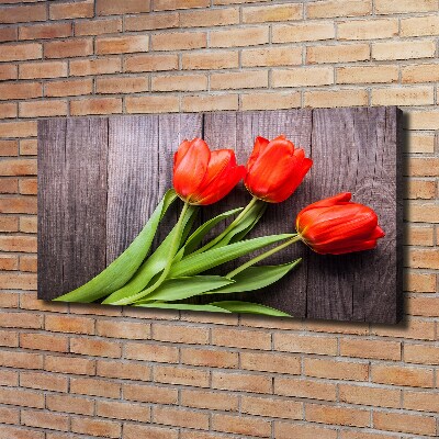 Canvas wall art Red tulips