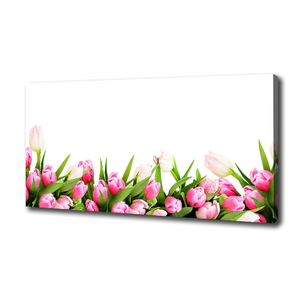 Pink tulips