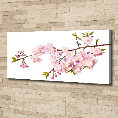 Canvas wall art Wild Rose