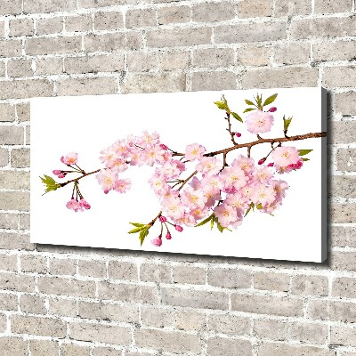 Canvas wall art Wild Rose